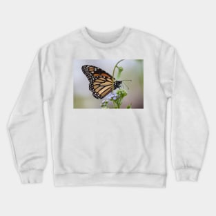 Dancing the Wind Crewneck Sweatshirt